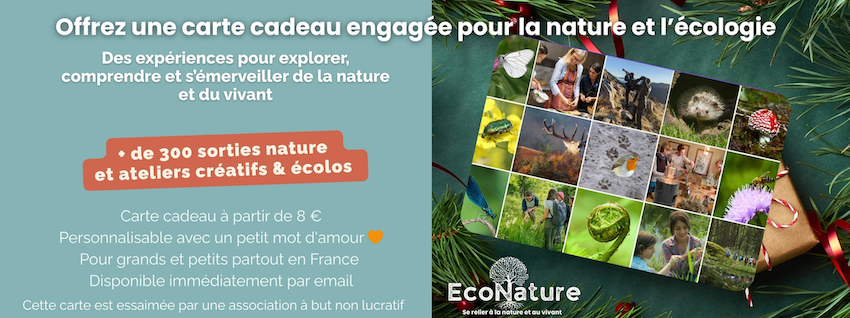 idée cadeau écologique activité nature