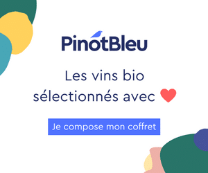 pinot bleu box vin bio