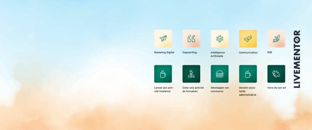 live mentor mon avis sur les formations webmarketing et wordpress