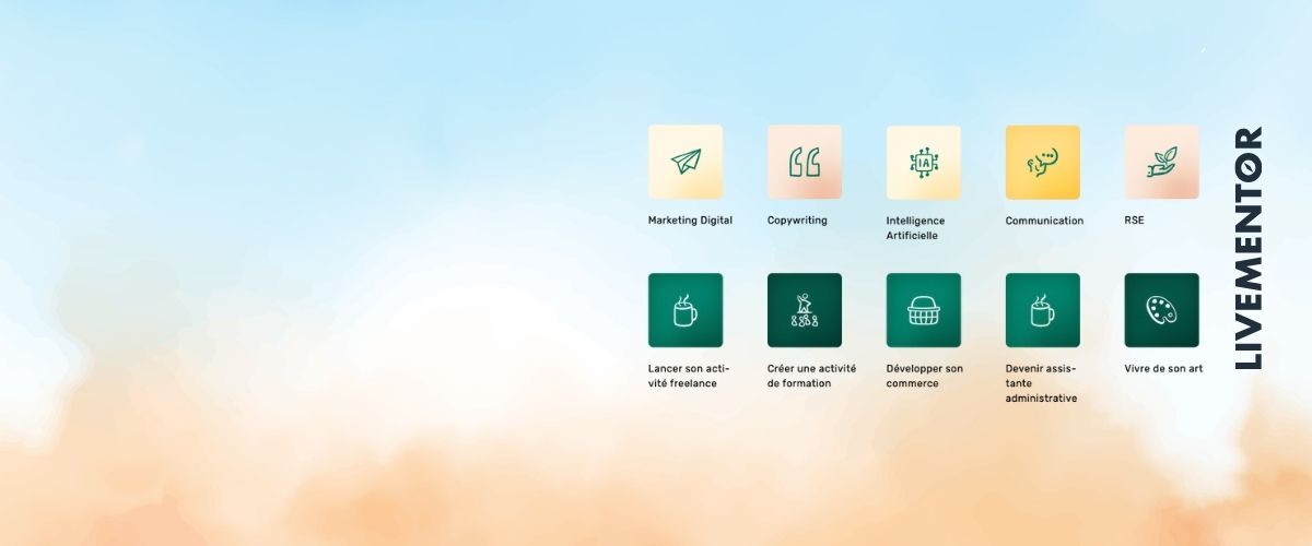 live mentor mon avis sur les formations webmarketing et wordpress