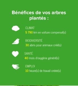 Voici les bénéfices de 10 arbres plantés en Haïti avec Reforest'Action, pour 30€ !