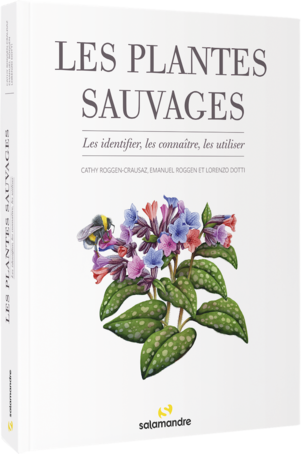 plantes sauvages les reconnaitre salamandre livre cadeau