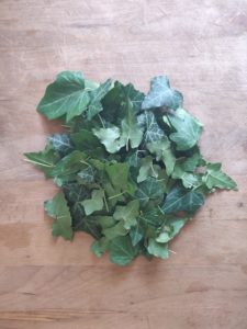 La recette de la lessive au lierre maison ! Un DIY facile, écologique, zéro-déchet et économique ! #zérodéchet #zerodechet #lessive #recette #lierre #maison #faitmaison #écologique #naturel #nontoxique #santé