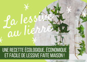 La recette de la lessive au lierre maison ! Un DIY facile, écologique, zéro-déchet et économique ! #zérodéchet #zerodechet #lessive #recette #lierre #maison #faitmaison #écologique #naturel #nontoxique #santé