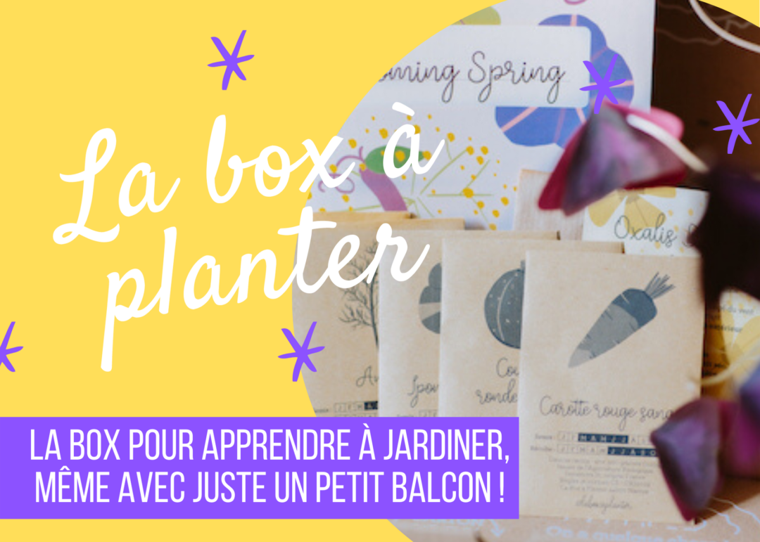 Idée de cadeau écolo - la box à planter, box de jardinage bio