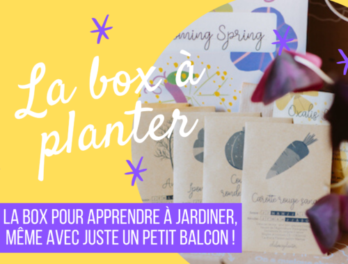 Idée de cadeau écolo - la box à planter, box de jardinage bio