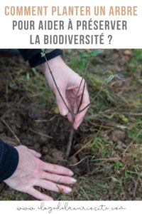 comment planter un arbre pour la biodiversité ? #jardinage #biodiversité #arbre #environnement #climat #onestpret #écologie #agirpourdemain