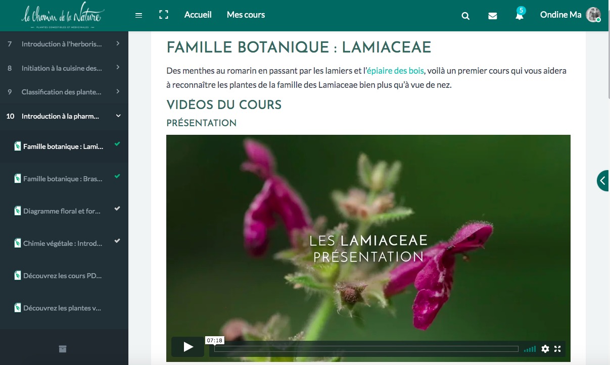 test avis le chemin de la nature formation du cueilleur cueillette de plantes sauvages botanique herboriste herbaliste phytothérapie aromathérapie gemmothérapie #cueillette #botanique #survivalisme