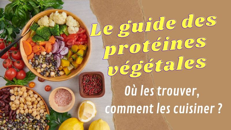 protéines végétales : le guide des protéines végétales, où trouver des protéines végétales quand on est végétarien ou vegan ?