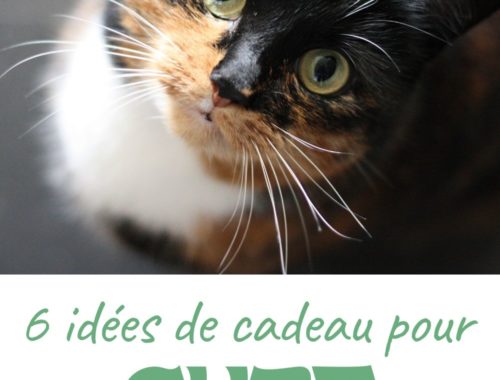 idées cadeau pour chat originales écolo fan de chat maitre amusant