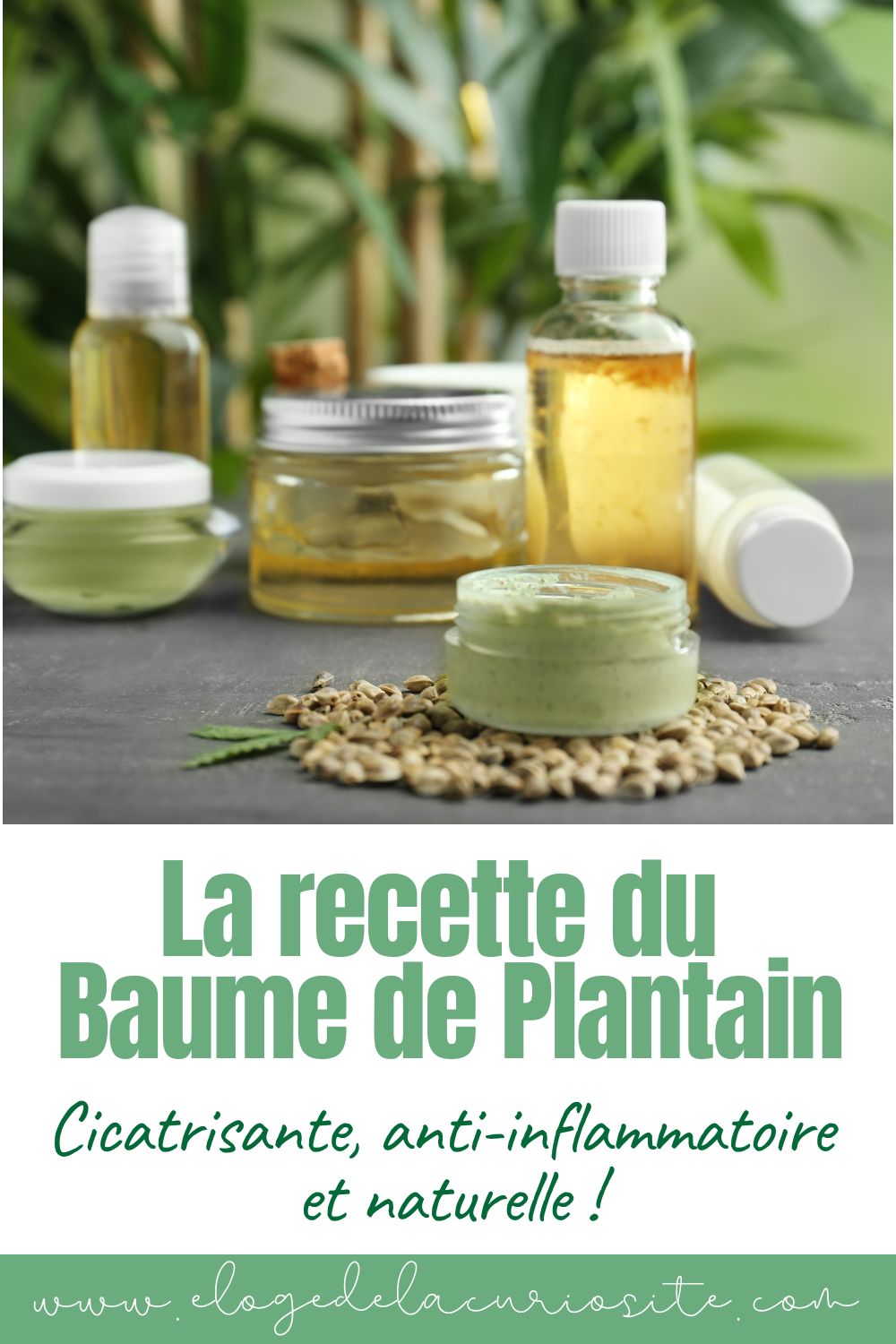 baume de plantain recette naturelle apaisant fait maison facile