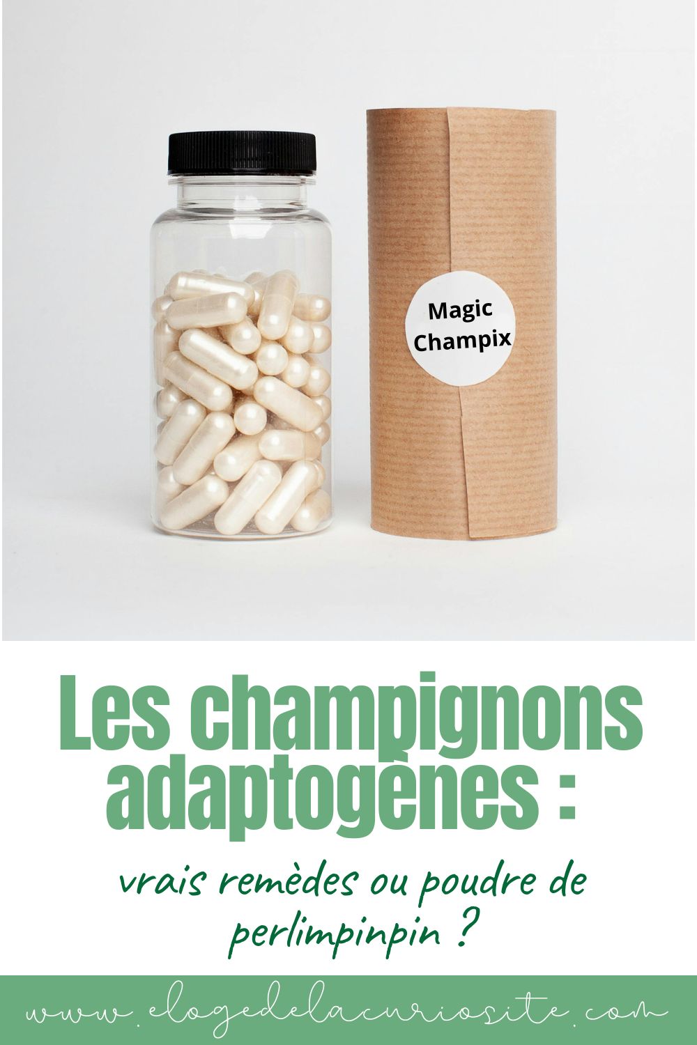 champignons adaptogènes bienfaits sécurité science