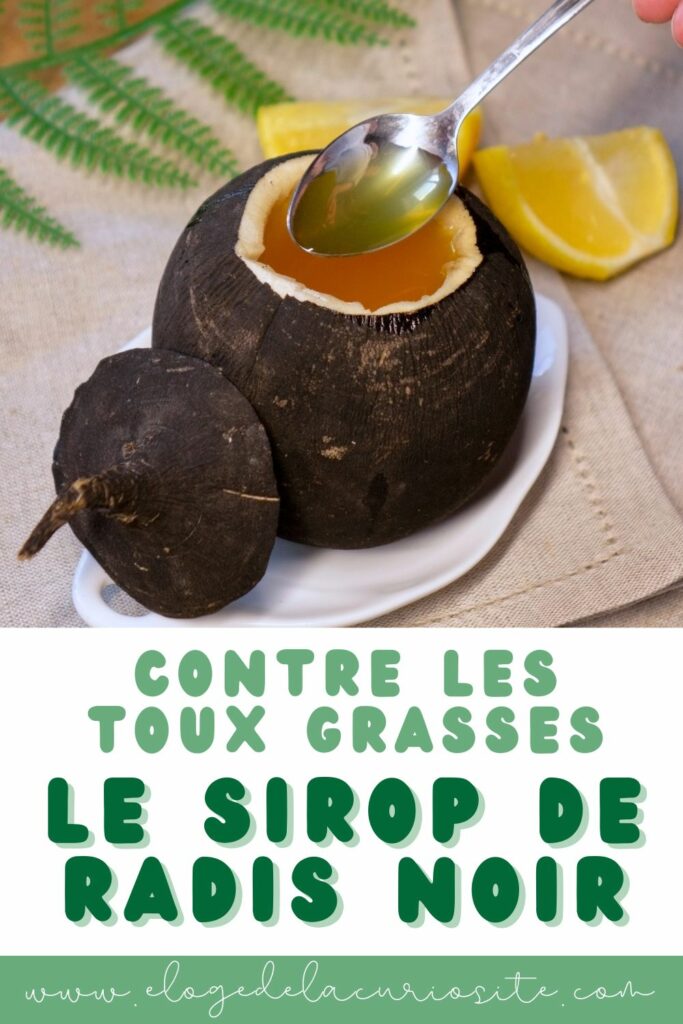 sirop de radis fait maison recette contre la toux
