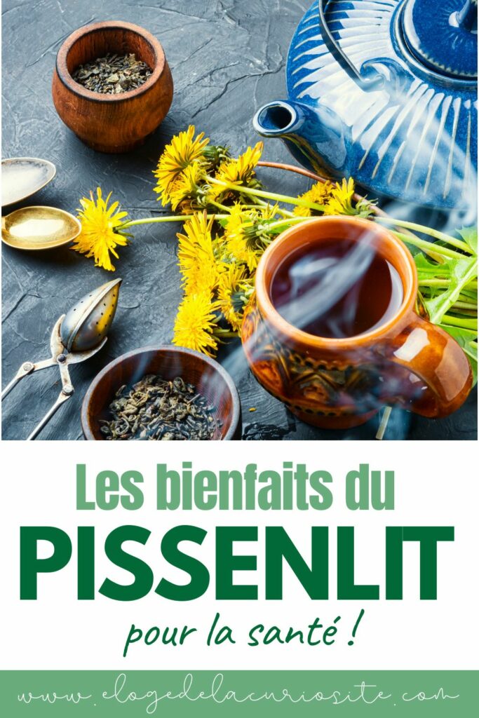 Tasse d’infusion accompagnée de fleurs de pissenlit fraîches, utilisée pour illustrer les bienfaits du pissenlit sur la digestion, le foie et l’élimination.