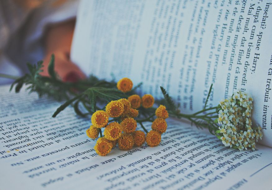 Livre d’occasion ouvert sur un plateau en bois, tasse de tisane au citron et couverture tricotée, symbole de lecture responsable et écoresponsable.