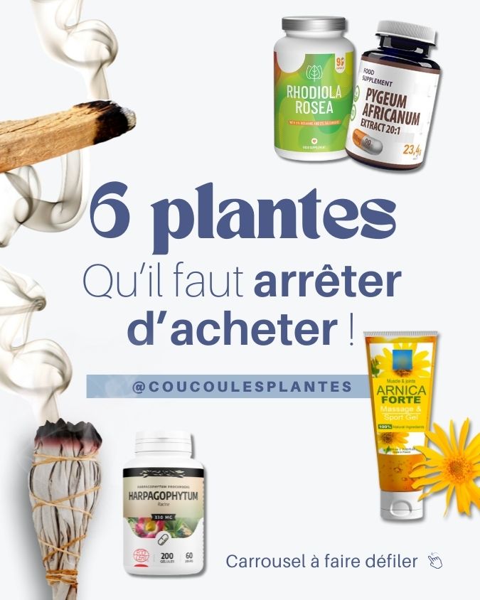 Les plantes menacées qu'il faut arrêter d'acheter