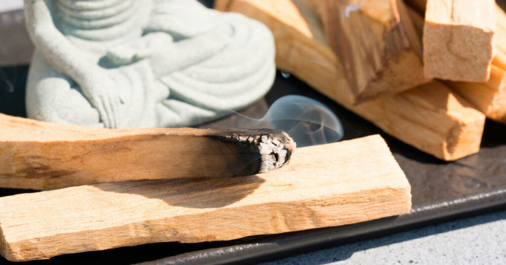 palo santo et sauge blanche quels dangers pour la surexploitation