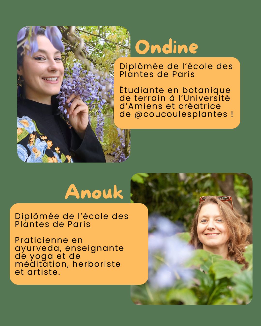 Les balades botaniques à Paris, plantes comestibles et médicinales