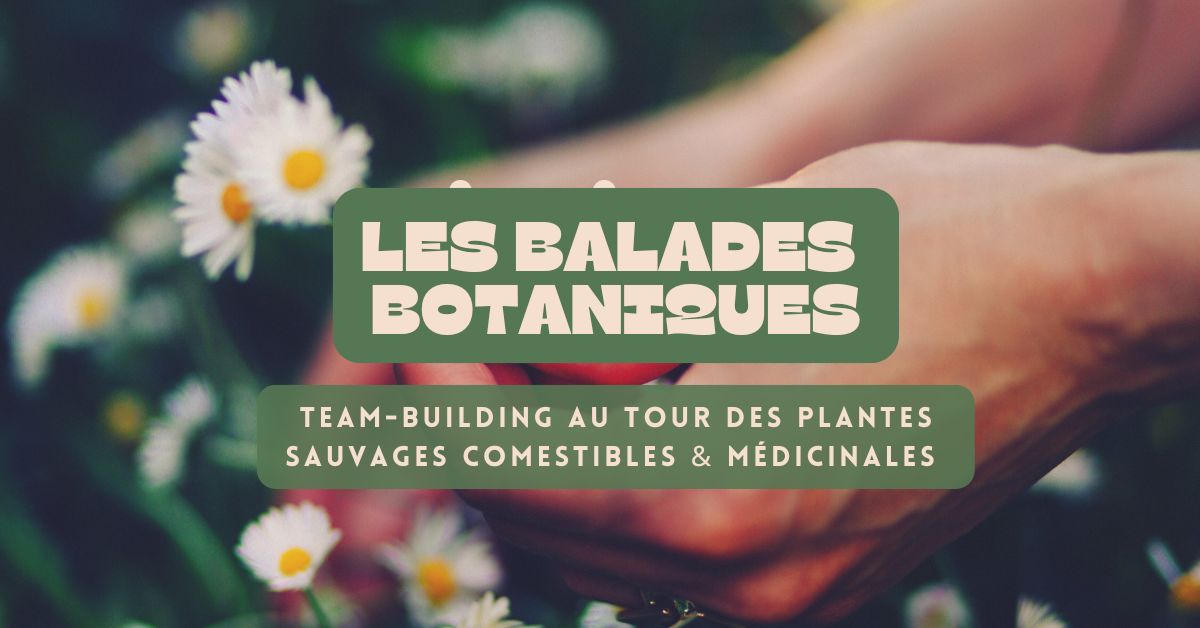 team building nature original et insolite à paris pour 10 personnes