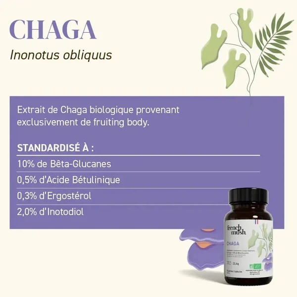 frenchmush mon avis sur le chaga