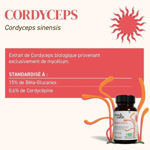 mon avis sur le cordyceps de french mush