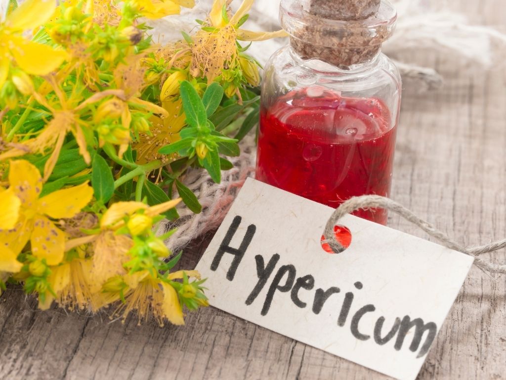 Macérât huileux de millepertuis de couleur rouge dans un flacon, à côté de fleurs fraîches d'Hypericum perforatum