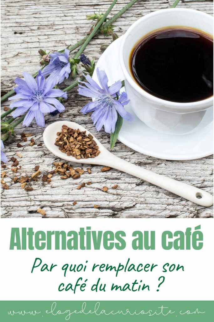 Une tasse de chicorée brun foncé sur sa soucoupe blanche, posée sur un bois gris vieilli, entourée de fleurs bleues de chicorée sauvage et d'une cuillère remplie de racine de chicorée torréfiée concassée. Texte de l'épingle : alternatives au café, par quoi remplacer son café du matin ?