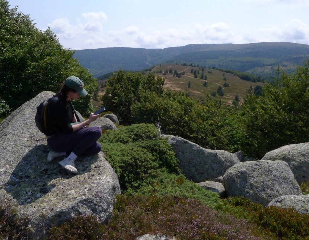 Mon premier stage de botanique de terrain sur le Mont Lozère, avec le CEN Occitanie !