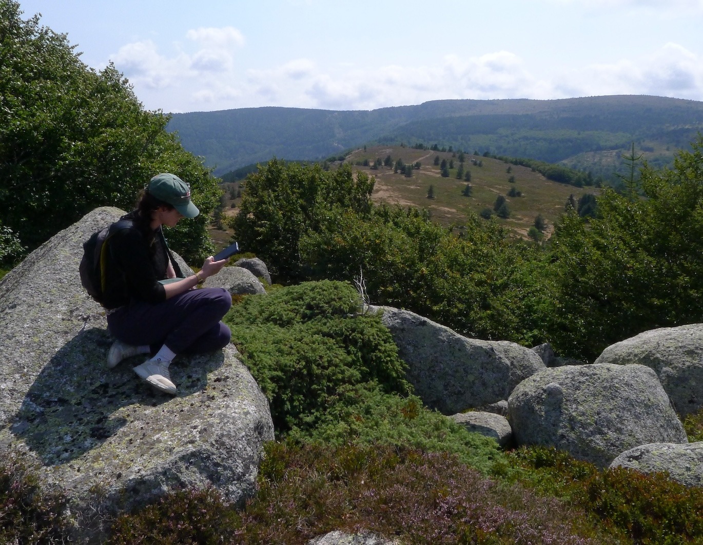 Mon premier stage de botanique de terrain sur le Mont Lozère, avec le CEN Occitanie !