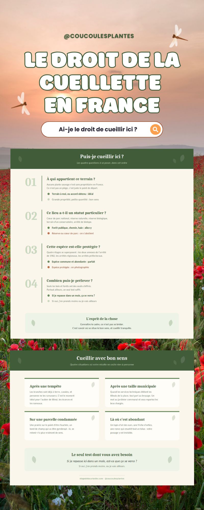 Infographie sur le droit de la cueillette en France : les quatre questions à se poser avant de cueillir et quatre situations de bon sens