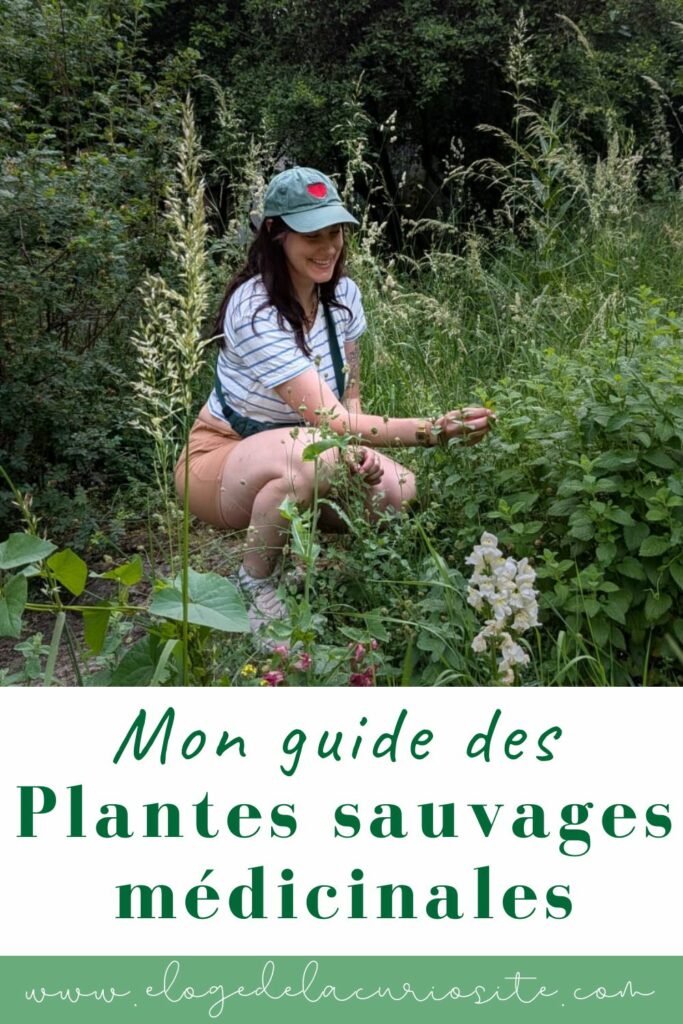 plantes sauvages médicinales le guide se soigner par les plantes, mes fiches par usage